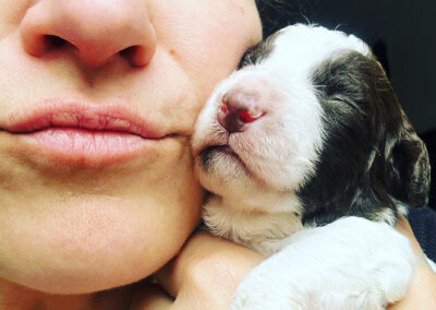 GENUINE FRIEND Pearls in Furs