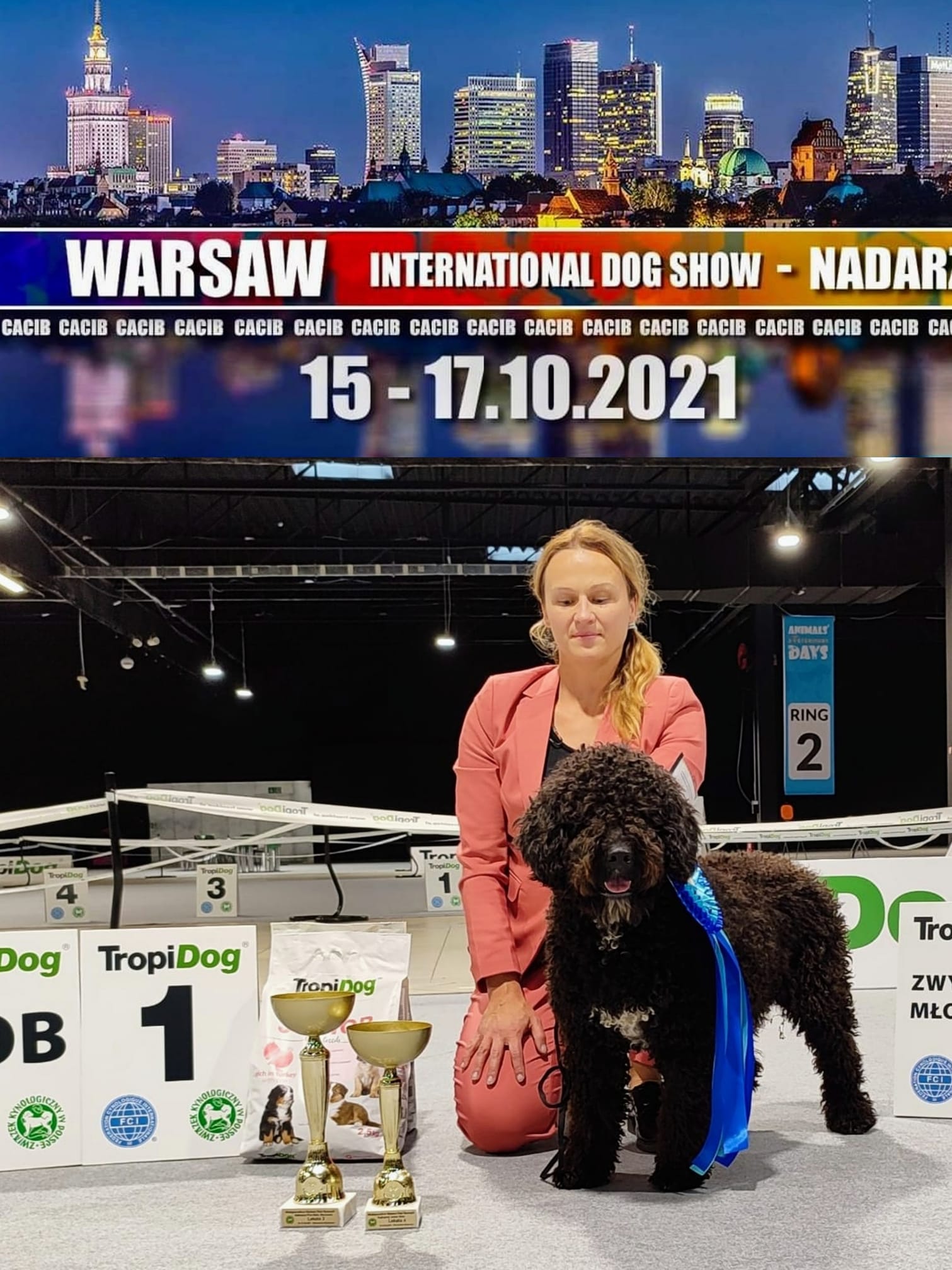 245407247_4771401676225664_147810678476336278_n