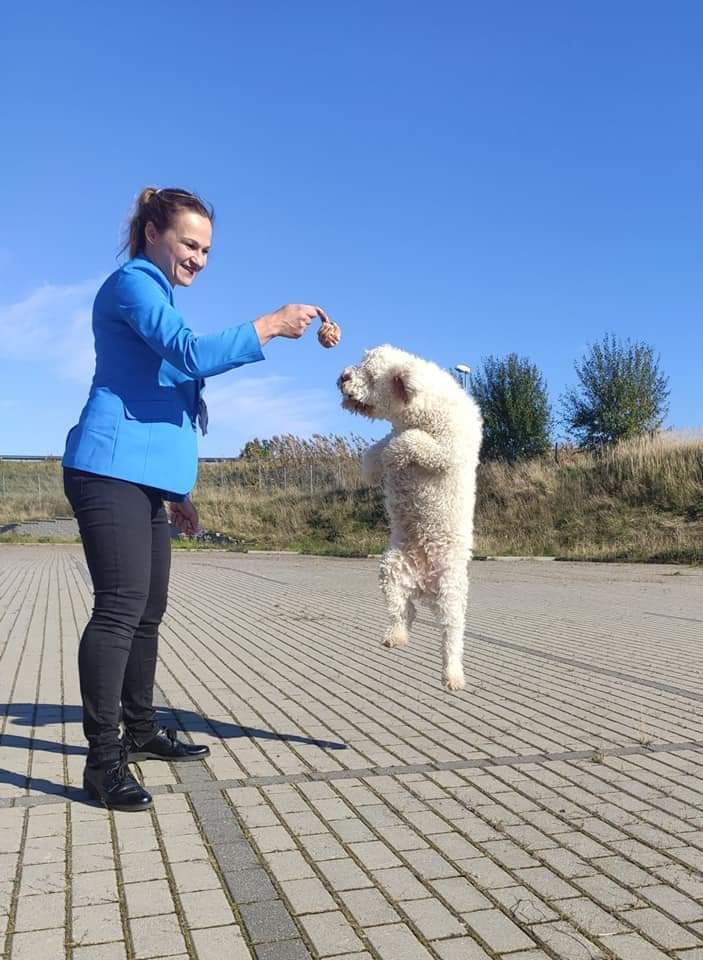 FB_IMG_1657033436812