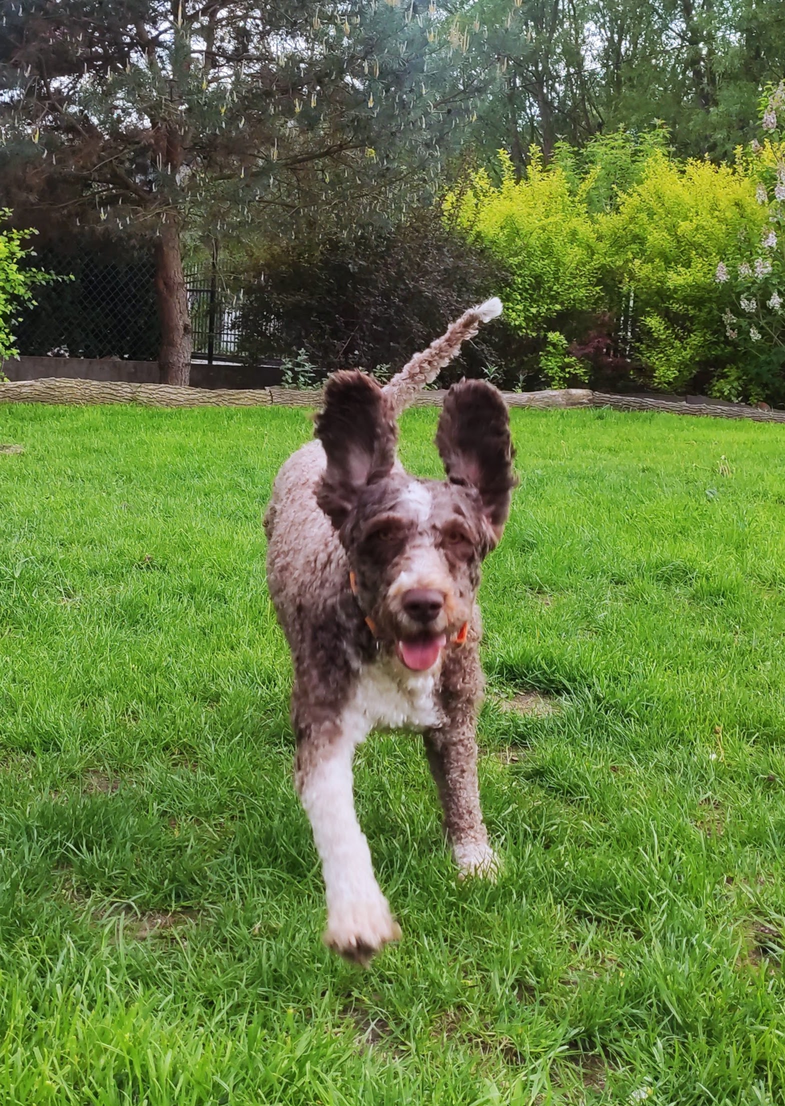 IMG_20210520_170941 (1)