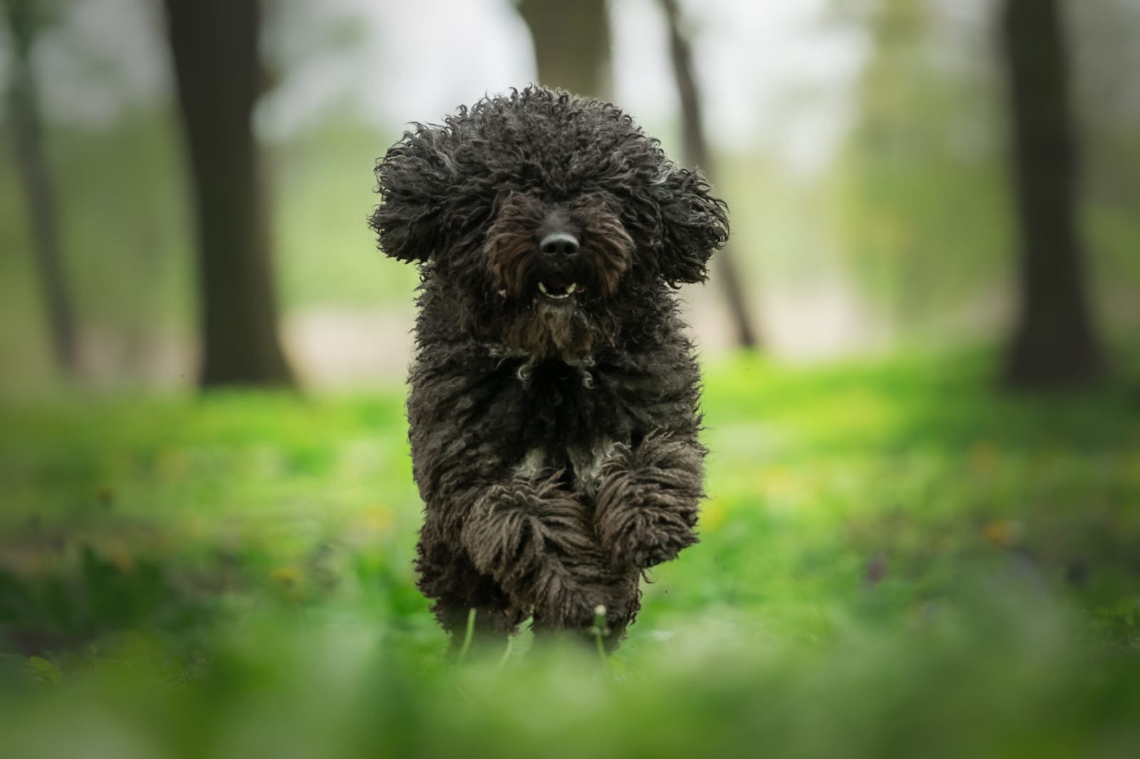 e1360995-c54f-4510-9b79-e281503ec8d9