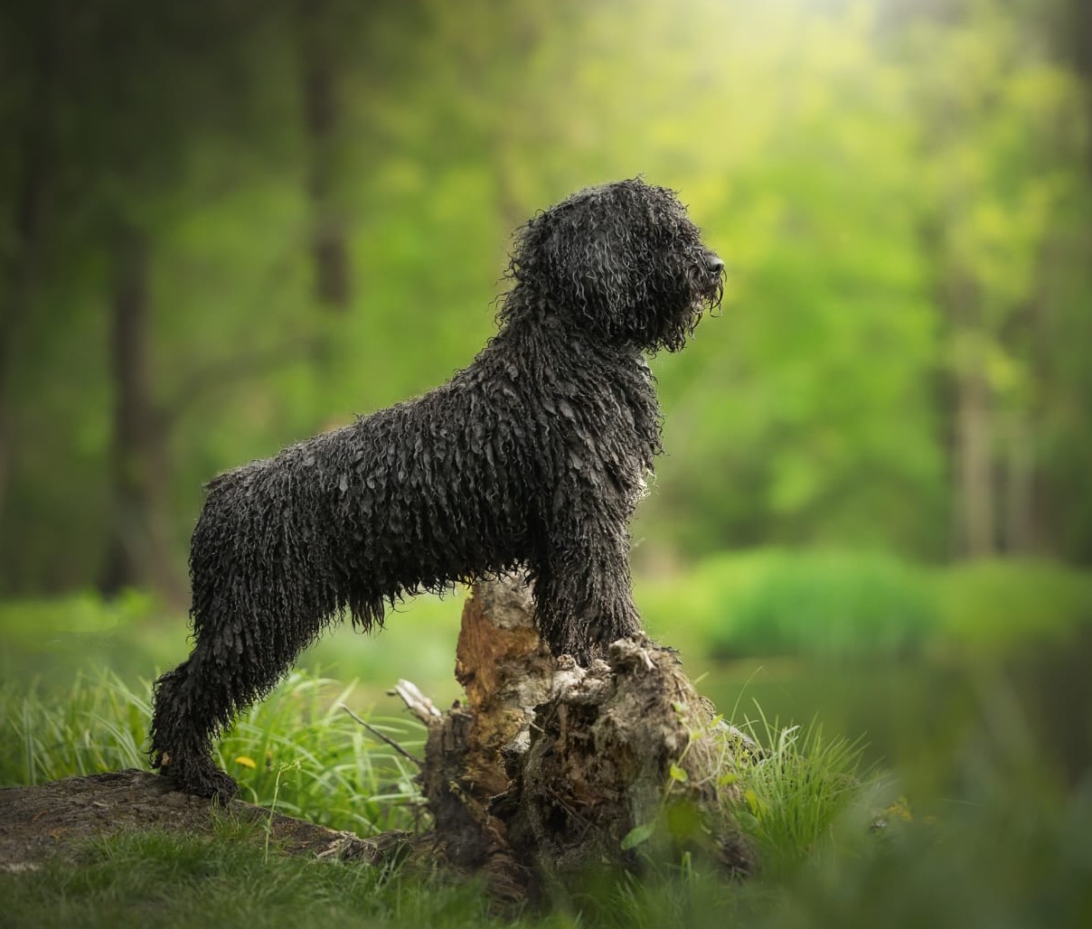 e9ab9ad8-fc5d-47dd-8389-9e20e2fec7a3 (1)